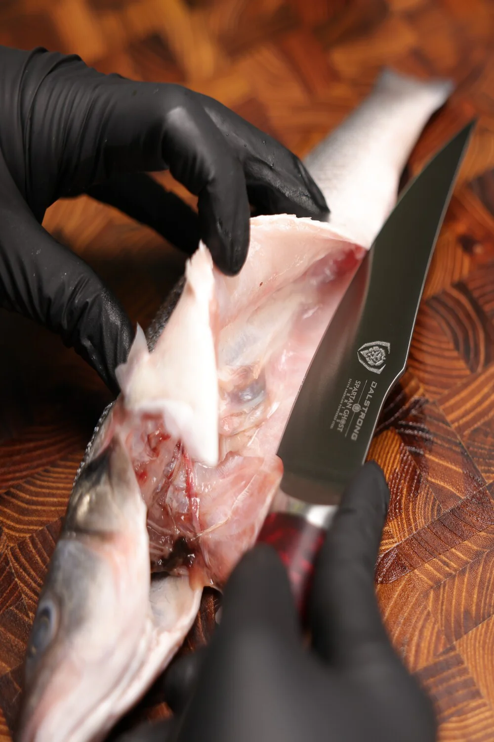 Curved Fillet Knife 6.5" | Spartan Ghost Series | Dalstrong © - Image 12