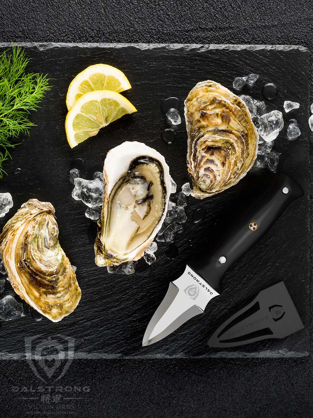 Professional Oyster & Clam Shucking Knife 3.5" | Shogun Series ELITE | Dalstrong © - Image 8