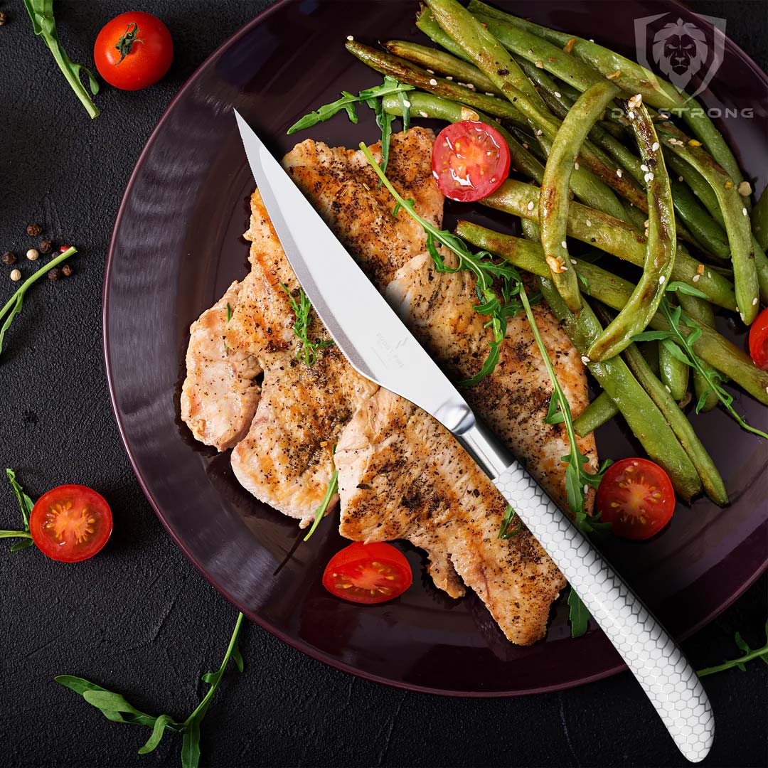 4-Piece Steak Knife Set | Frost Fire Series | NSF Certified | Dalstrong © - Image 6